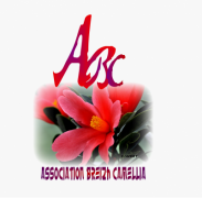 Association Breizh Camellia
